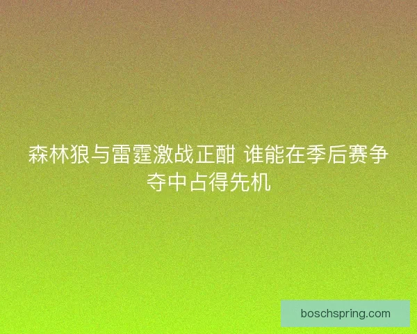 森林狼与雷霆激战正酣 谁能在季后赛争夺中占得先机