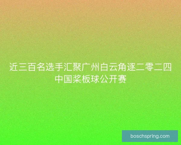 近三百名选手汇聚广州白云角逐二零二四中国桨板球公开赛