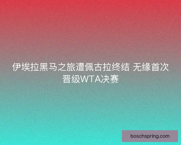 伊埃拉黑马之旅遭佩古拉终结 无缘首次晋级WTA决赛